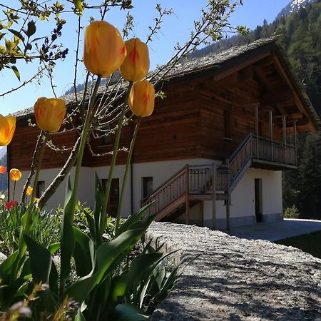 B&B Lorelei Gressoney-Saint-Jean Eksteriør bilde